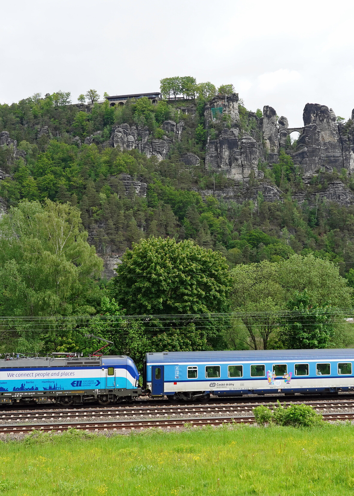 Czech blue passenger train runs on rails, surrounded by meadows and trees, in front of the mountains of Saxon Switzerland.